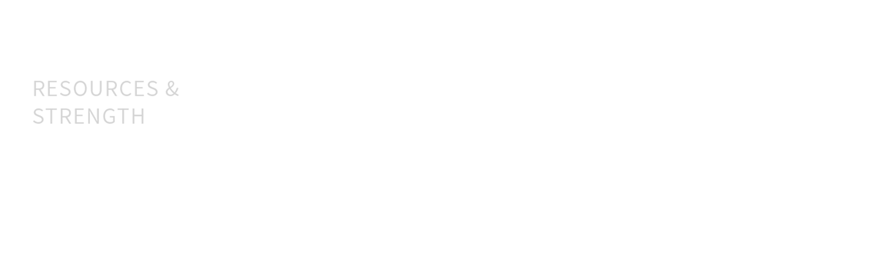 资源 实力